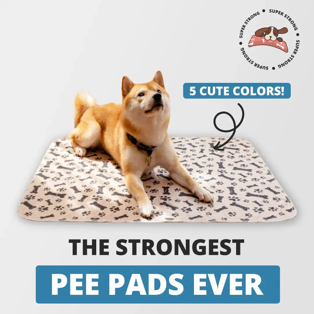 Shiba Inu on PuppyPad with caption saying: The Strongest Pee Pads Ever