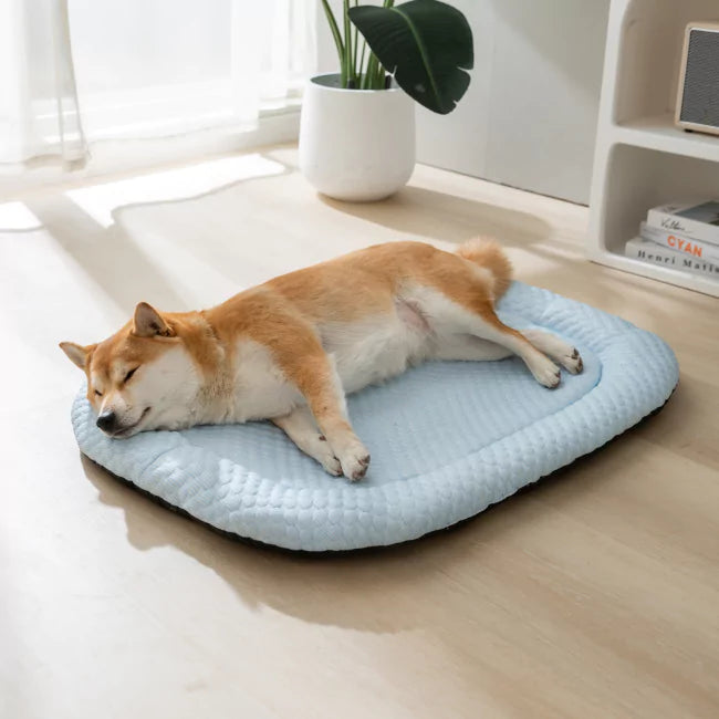 Buy 2 CoolingBed™️ Get 1 Free