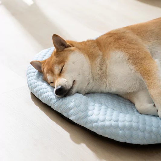 3 Pack CoolingBed™️ + 4 Free Gifts