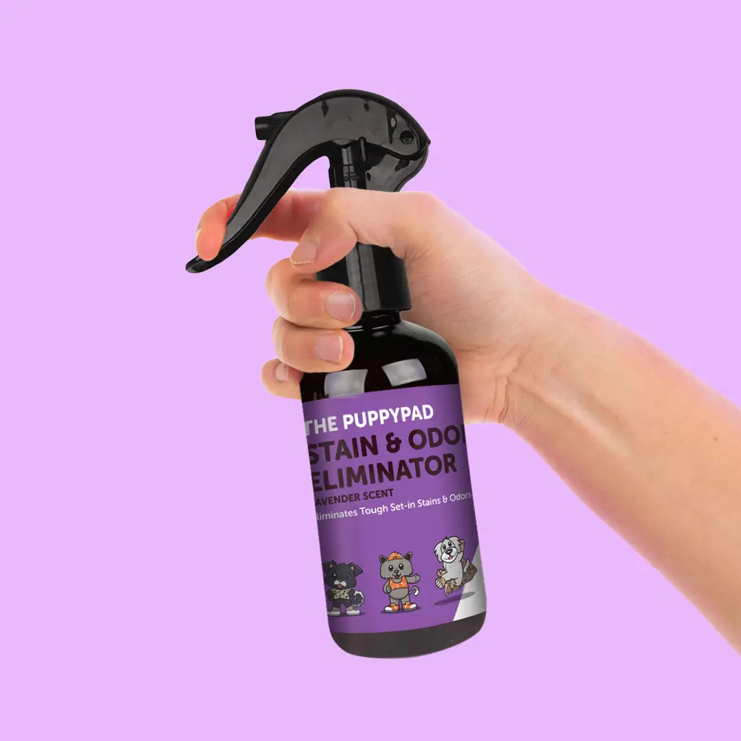 Odor Eliminator Spray