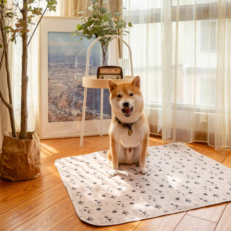 Potty Pads For Dogs